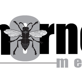 The Evolution of the hornet media Logo